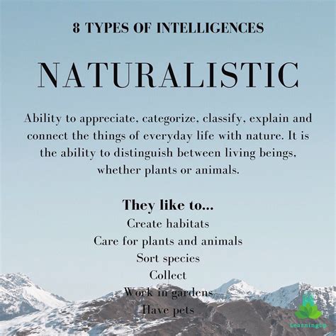 what does naturalistic mean
