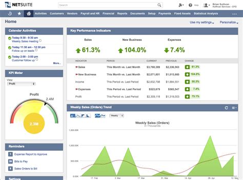 what does netsuite look like