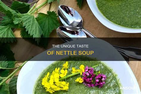 What Does Nettle Soup Taste Like