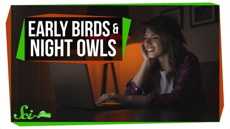 What Does Night Owl Data Mean