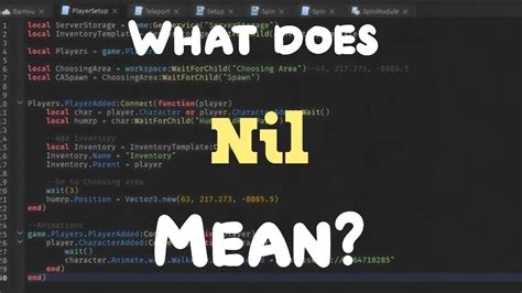what does nil mean in programming