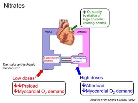 What Does Nitroglycerin Do for Heart Health and Relief?