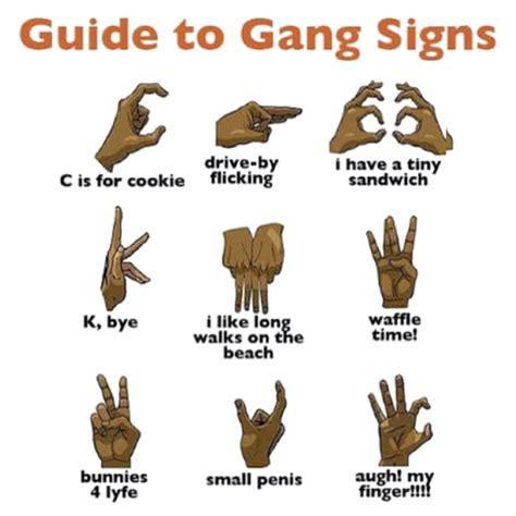 what does oyk stand for gang