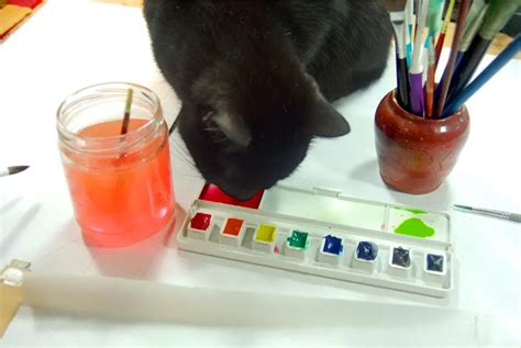 What Does Paint Taste Like