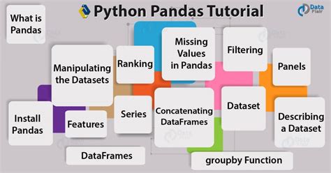 what does pandas mean in python