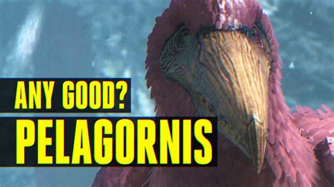 ARK Sulvival Evolved Dossier PELAGORNIS YouTube