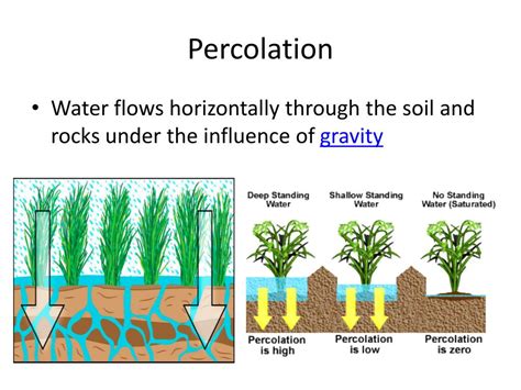 what does percolation mean