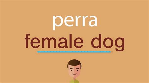 what does perra mean in english