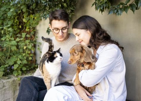 What Does Pet Care Mean