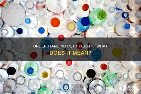 What Does Pet Lamp Mean