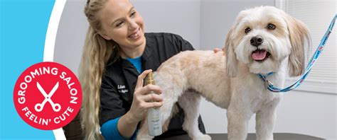 Dog Grooming: What PetSmart Requires for Your Dog