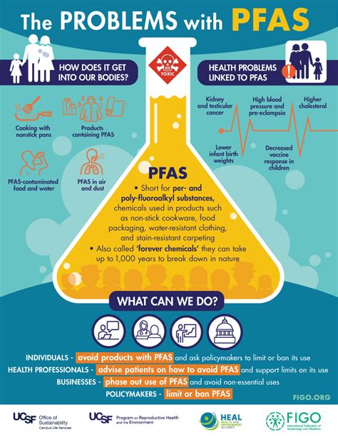 what does pfas do to your body