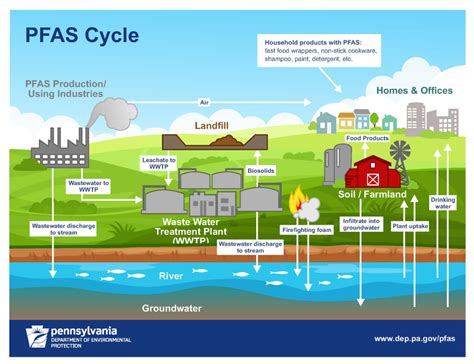 what does pfas stand for environment
