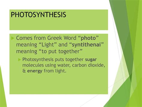 what does photo mean in greek in the word photosynthesis