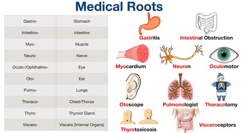 what does positive and negative mean in medical terms