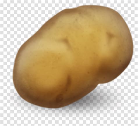 What Does Potato Mean Computer