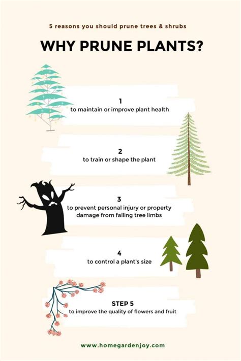 What Does Pruning Mean Wow