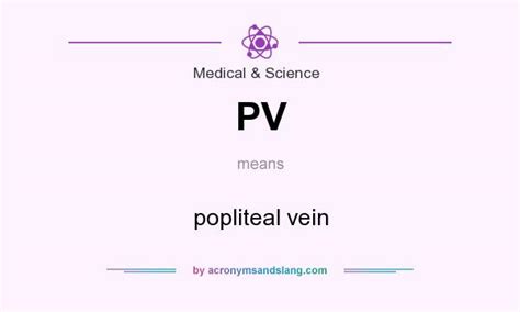 what does pv stand for medically