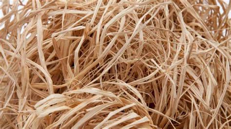 What Does Raffia Spell