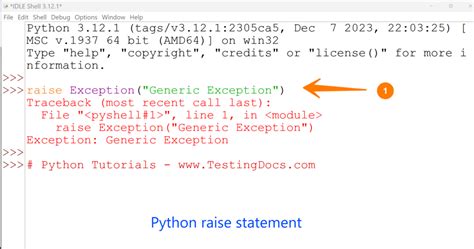 what does raise exception do in python