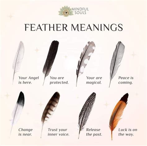 What Does Receiving A Feather Mean