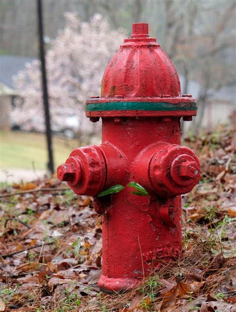 What Does Red Fire Hydrant Mean