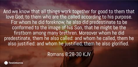 what does romans 8:28-30 mean