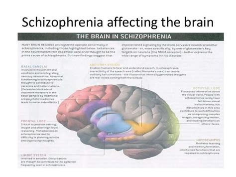 what does schizophrenia affect in the brain