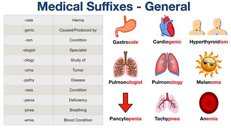 what does sci mean in medical terms