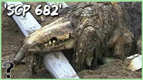 what does scp 682 look like