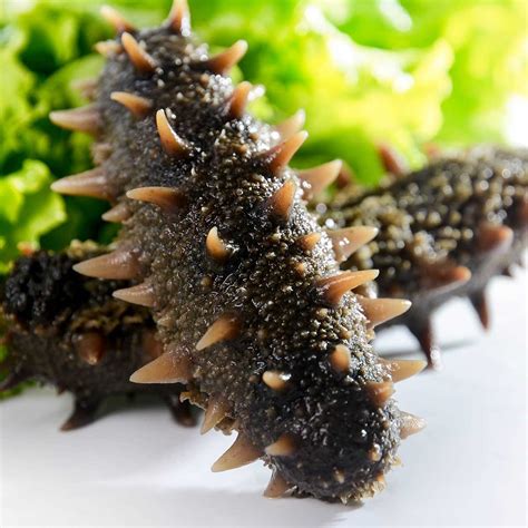 What Does Sea Cucumbers Taste Like