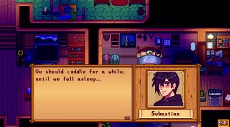 what does sebastian like in stardew valley