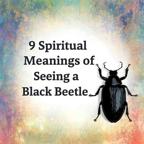 What Does Seeing A Beetle Mean