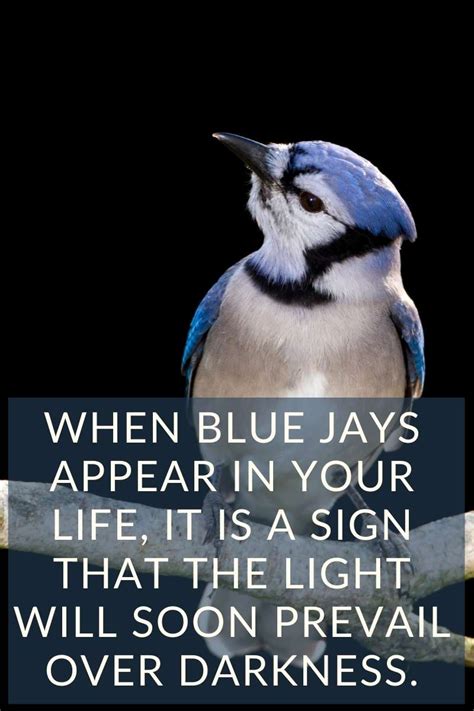 what does seeing a blue jay mean