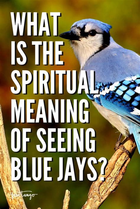 what does seeing a blue jay mean spiritually