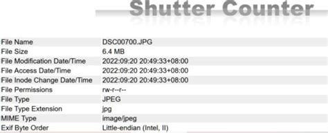 What Does Shutter Count Mean Mirrorless