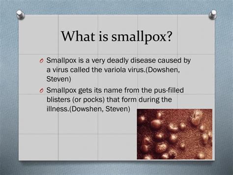 What Does Smallpox Mean