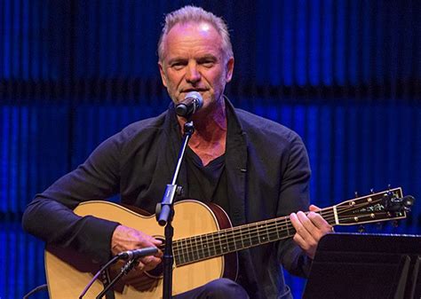 what does sting play