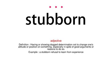 what does stubborn mean simple