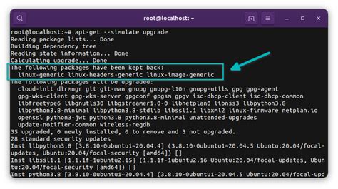 what does sudo apt-get dist-upgrade