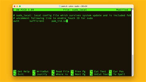 what does sudo do in mac terminal