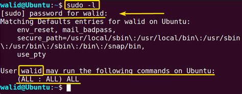 what does sudo do in terminal