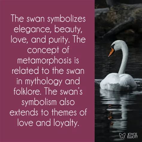 what does swans symbolize