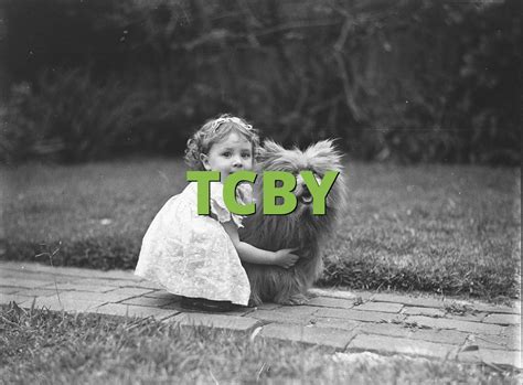 what does tcby mean