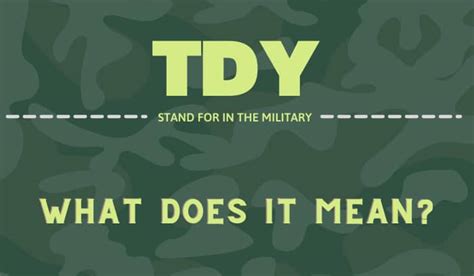 What Does Tdy Stand For