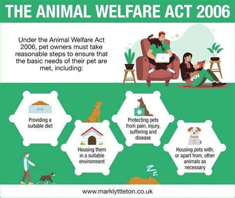 what does the animal welfare act do