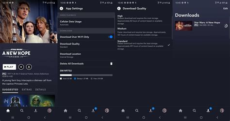 What Does The Camera Button Do On Disney Plus