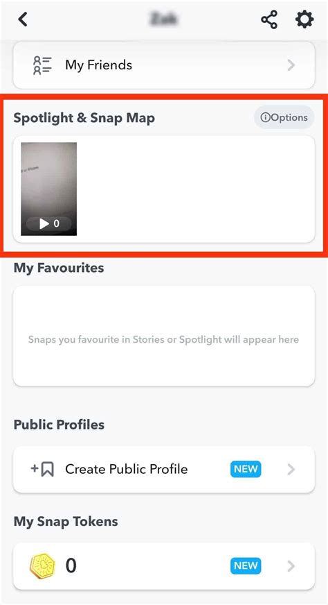 what does the camera mean on snap map