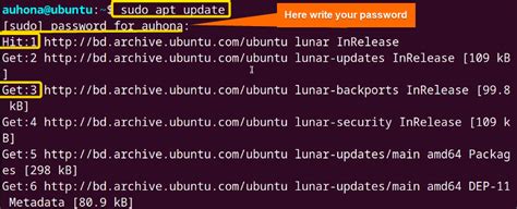 what does the command sudo apt get update do in linux
