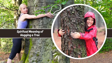 What Does The Expression Tree Hugging Meaning